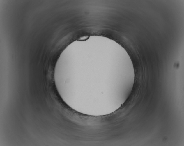 X0000091980044200710041119