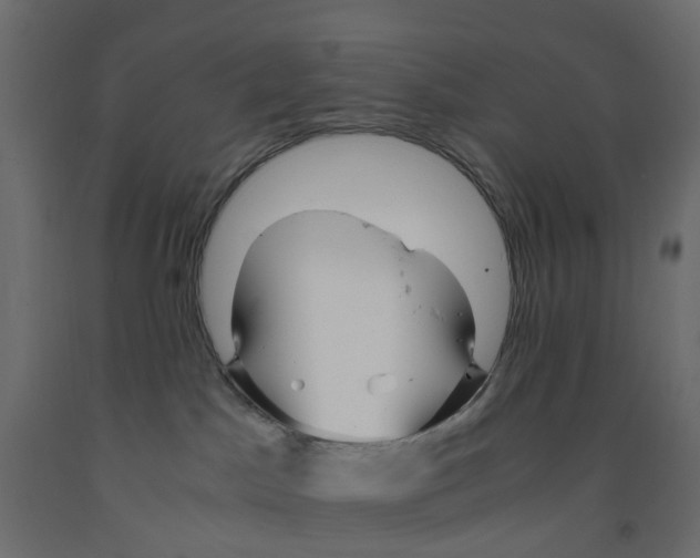 X0000091980045200710041119