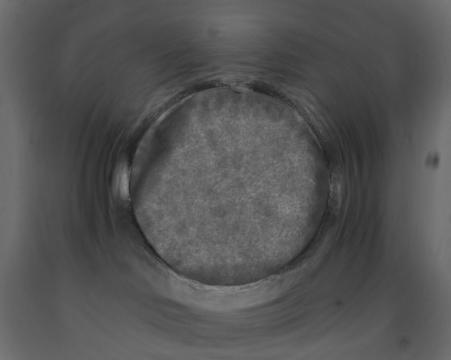 X0000091980046200710041119