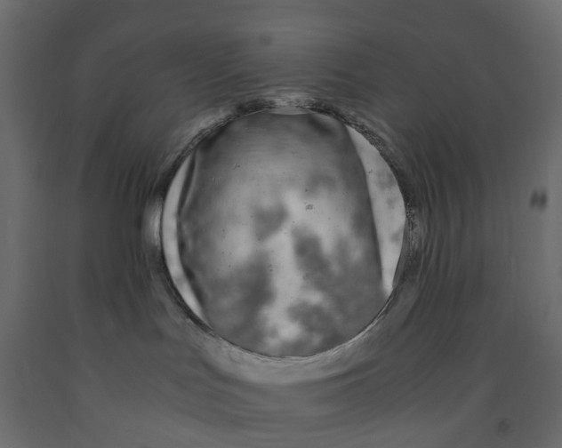 X0000091980047200710041119