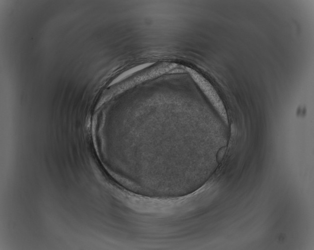 X0000091980048200710041119