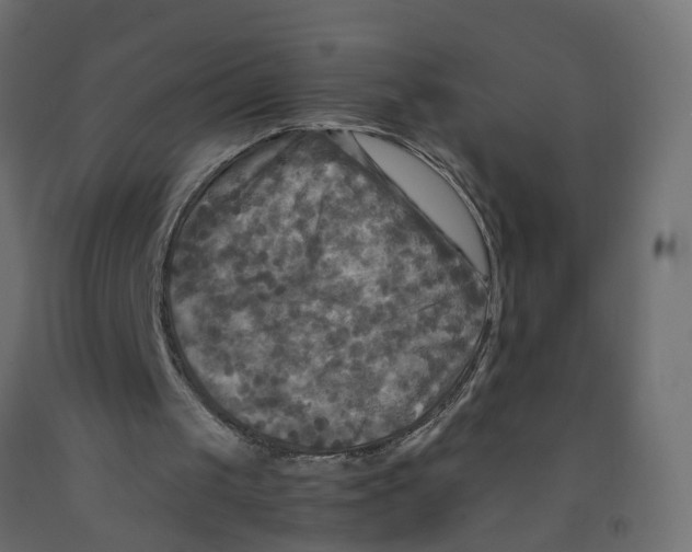 X0000091980049200710041118