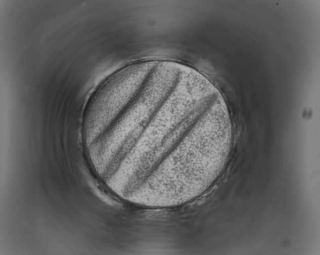 X0000091980050200710041118