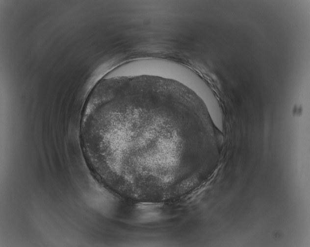 X0000091980051200710041118