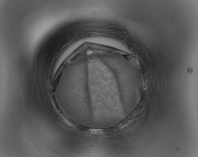 X0000091980052200710041118