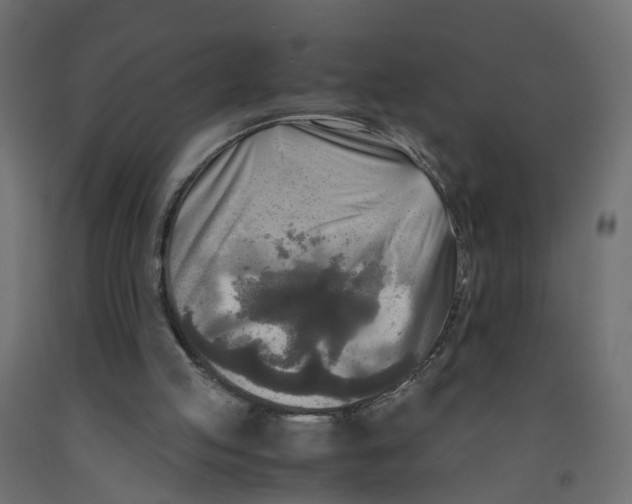 X0000091980053200710041118