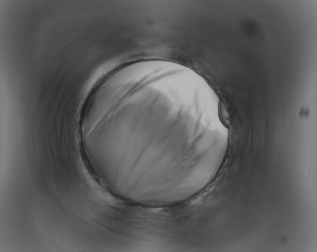 X0000091980054200710041118