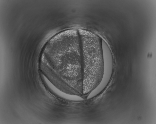 X0000091980055200710041118