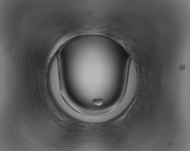 X0000091980056200710041118