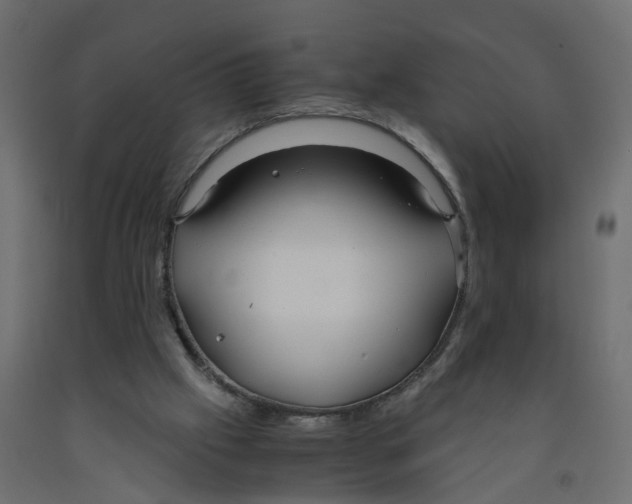 X0000091980057200710041118