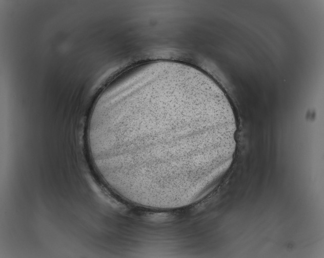X0000091980058200710041118