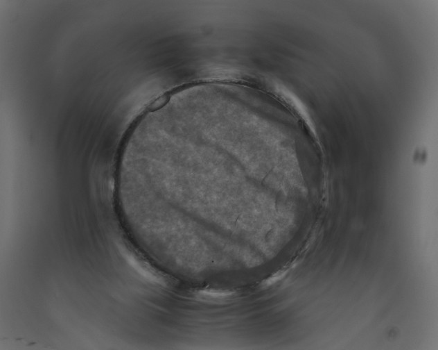 X0000091980059200710041118