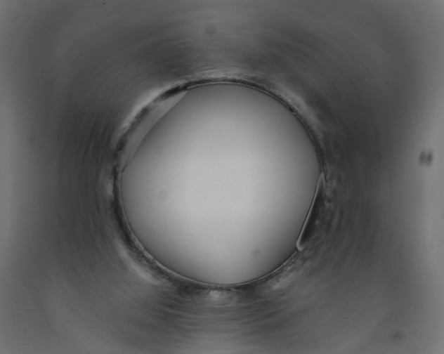 X0000091980060200710041118