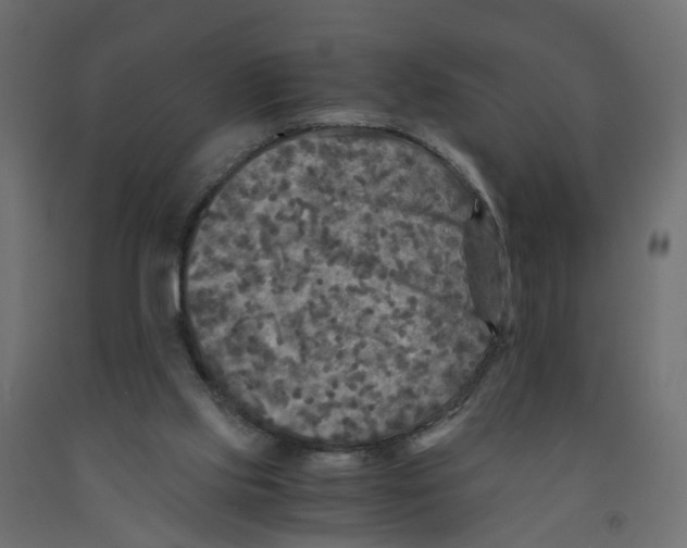 X0000091980061200710041118
