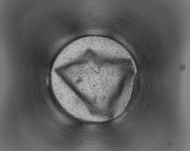 X0000091980062200710041118