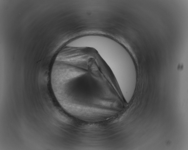 X0000091980063200710041118
