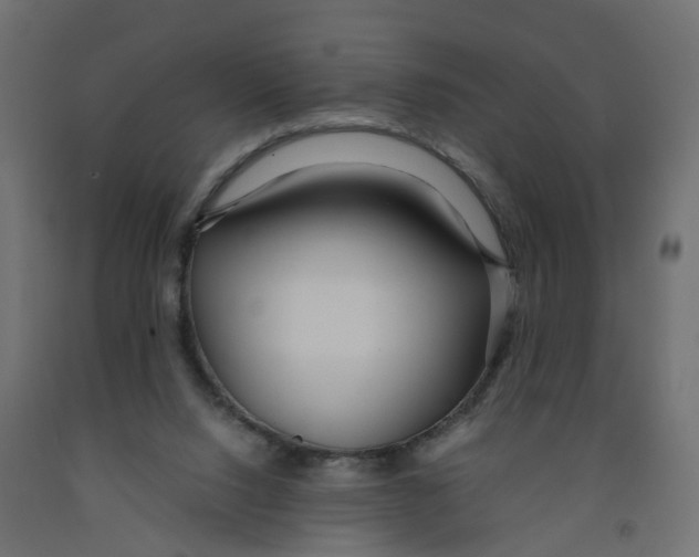 X0000091980064200710041118