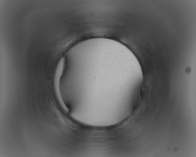 X0000091980066200710041118