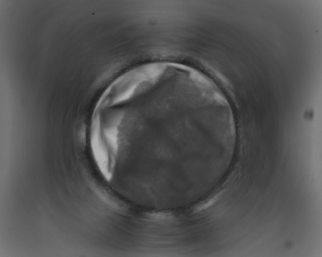 X0000091980067200710041118
