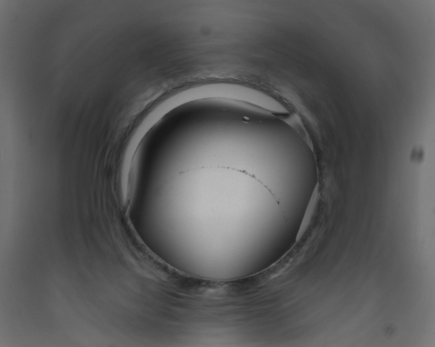 X0000091980068200710041118