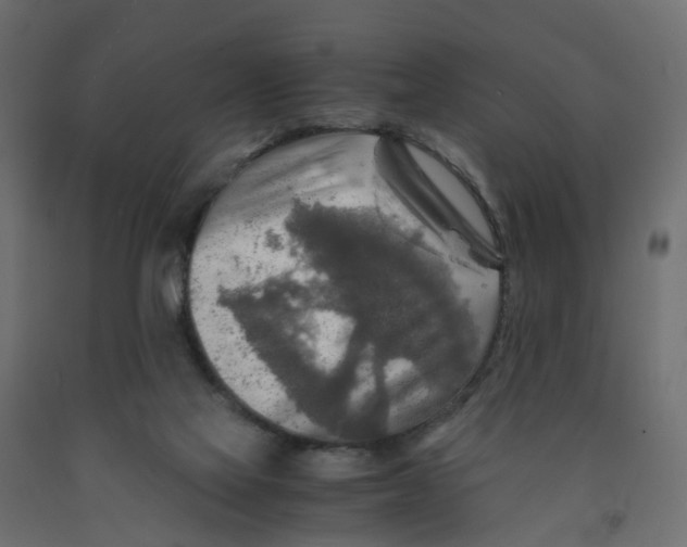X0000091980069200710041118
