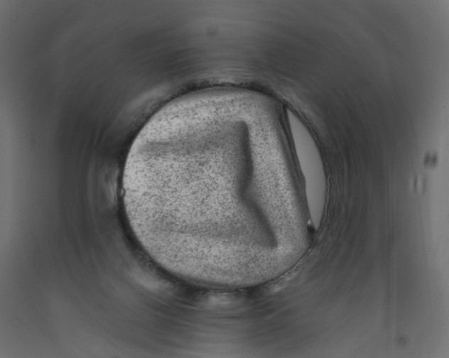X0000091980070200710041118
