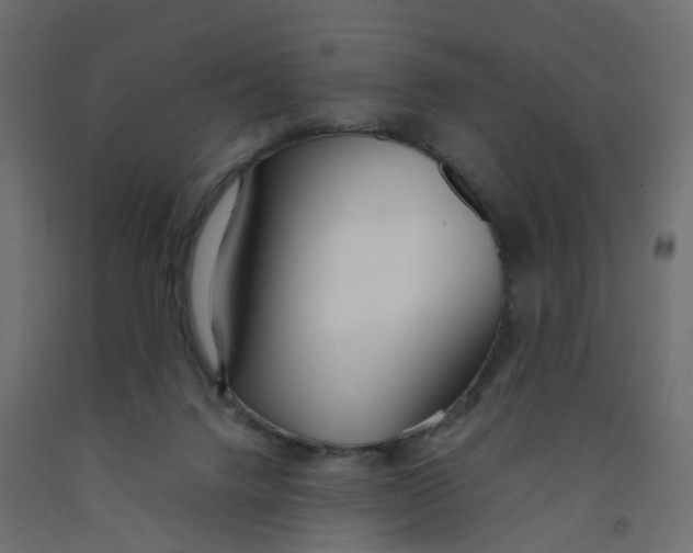 X0000091980072200710041119