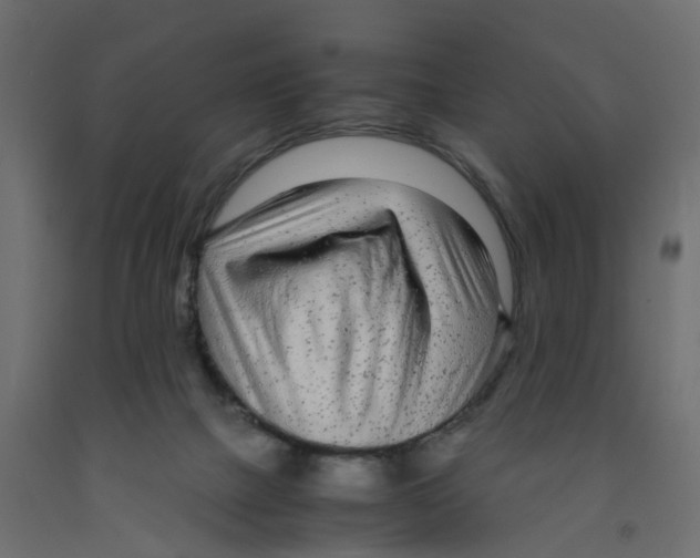 X0000091980073200710041119