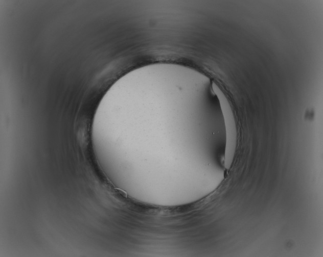 X0000091980074200710041119