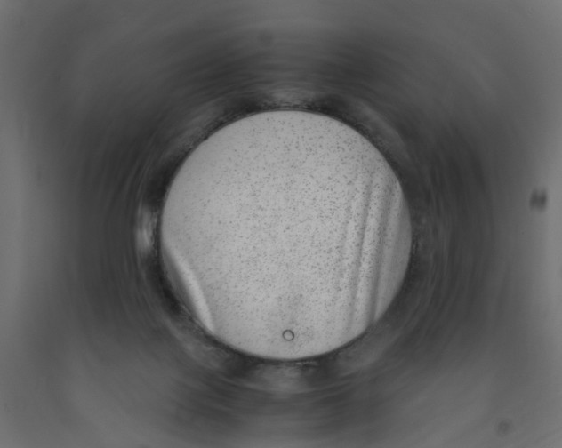 X0000091980075200710041119