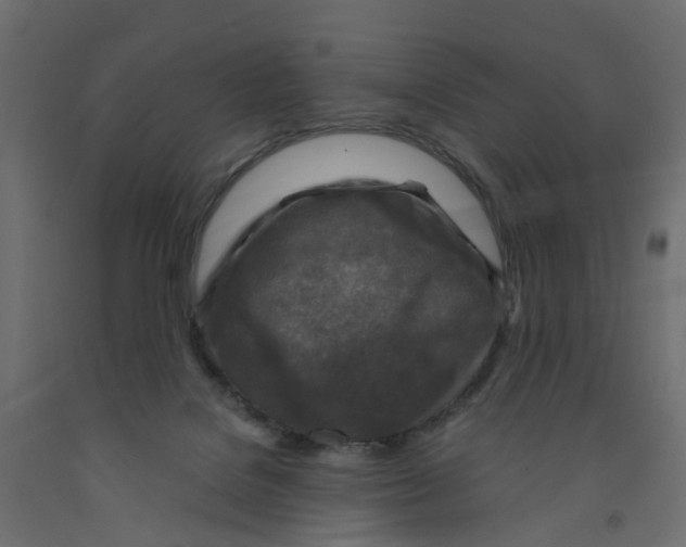 X0000091980076200710041119