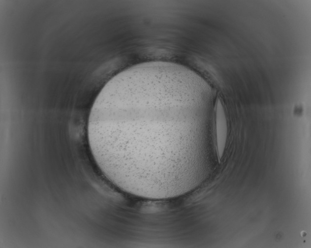 X0000091980077200710041119