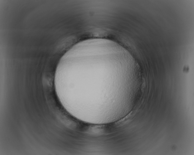 X0000091980078200710041119