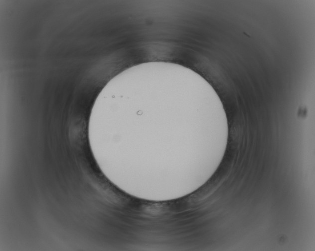 X0000091980079200710041119