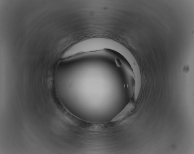 X0000091980080200710041119