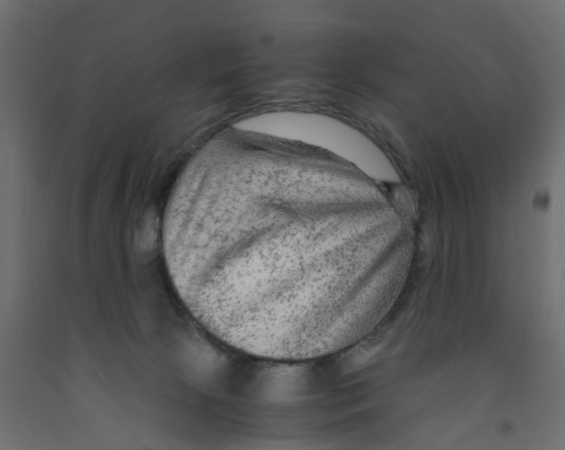 X0000091980081200710041119