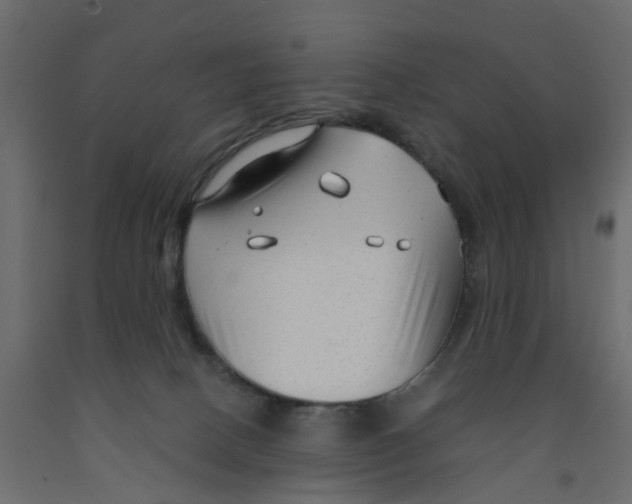 X0000091980082200710041119