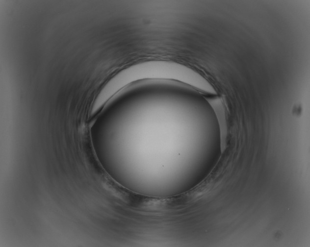 X0000091980084200710041119