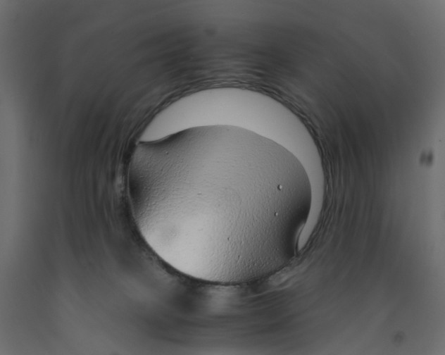 X0000091980085200710041119