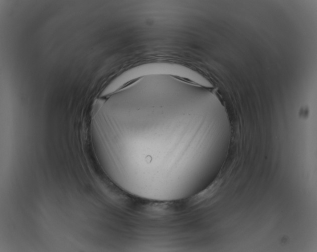 X0000091980086200710041119