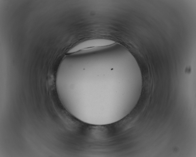 X0000091980087200710041119