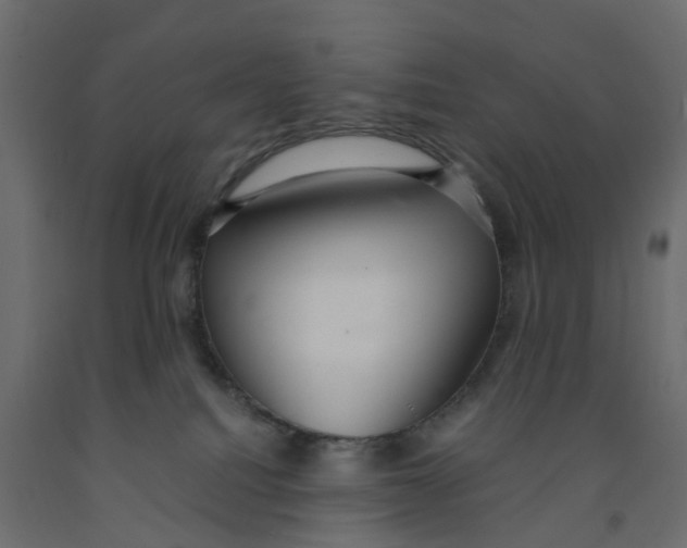 X0000091980088200710041119