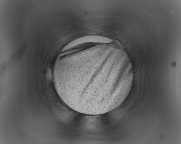 X0000091980089200710041119
