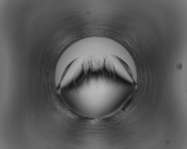 X0000091980092200710041119