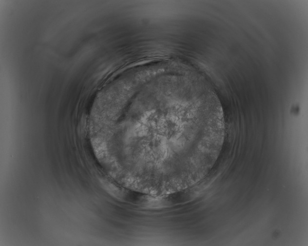 X0000091980093200710041119