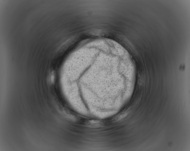 X0000091980095200710041119