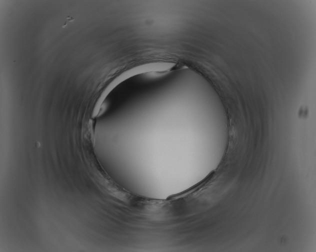 X0000091980096200710041119