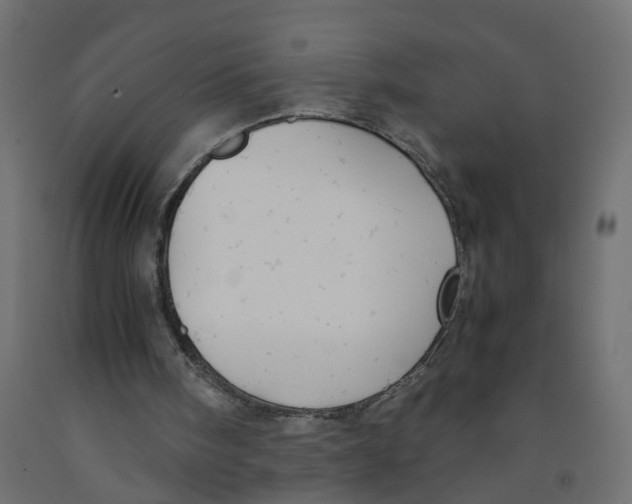X0000091980098200710041118