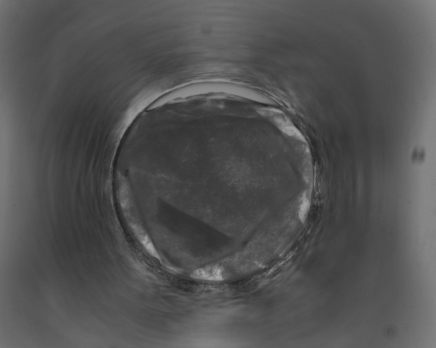 X0000091980099200710041118