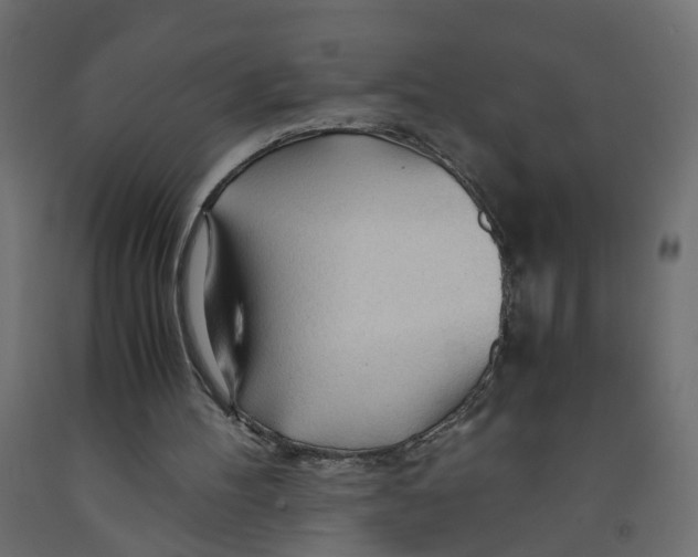 X0000091980100200710041118